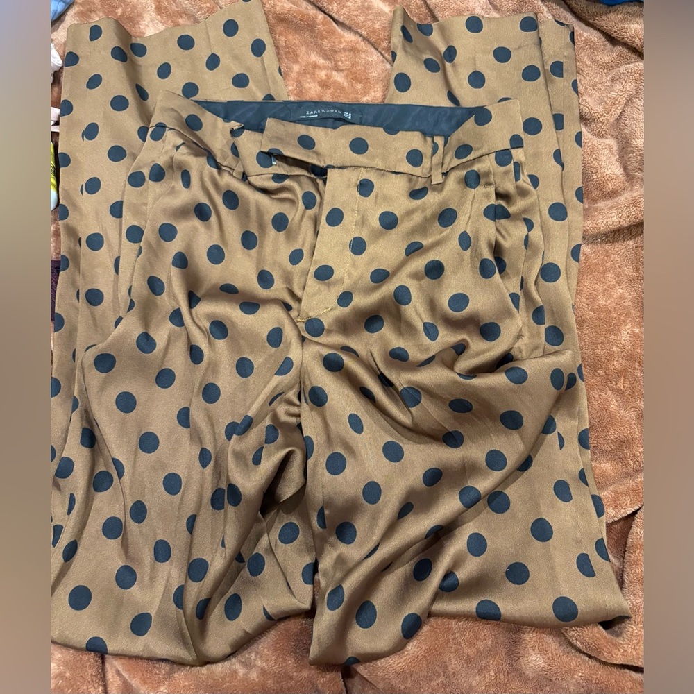 Zara Brown Pants with Black Polka Dots